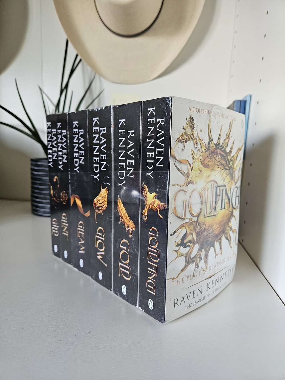 The Plated Prisoner Complete Series Paperback Collection - Raven Kennedy
